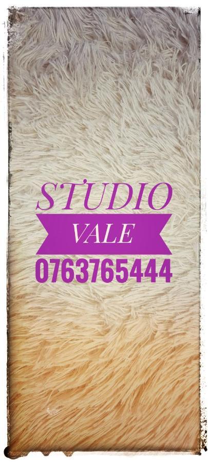 Studio Vale Apartment Hunedoara Ngoại thất bức ảnh