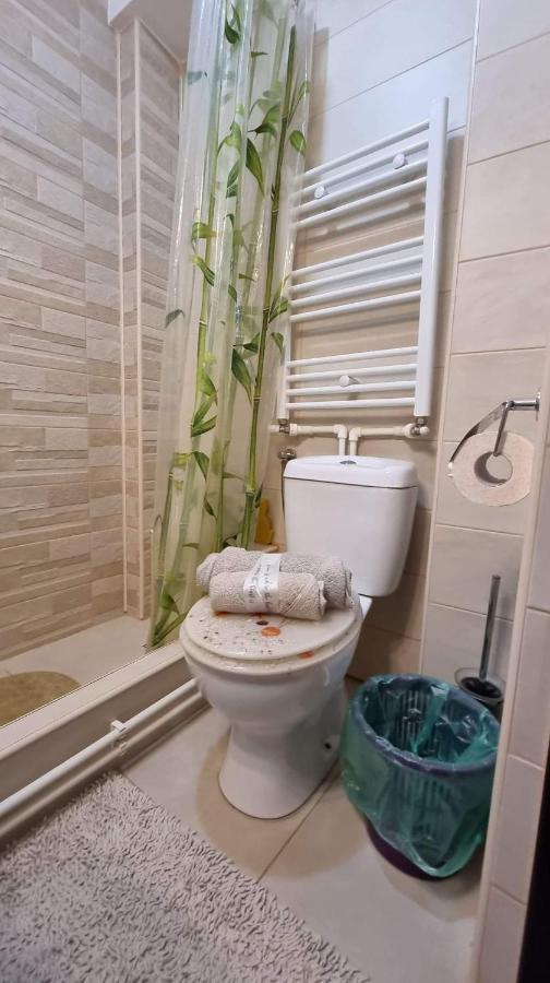 Studio Vale Apartment Hunedoara Ngoại thất bức ảnh
