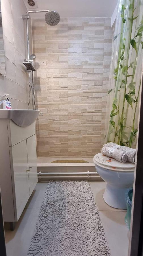Studio Vale Apartment Hunedoara Ngoại thất bức ảnh